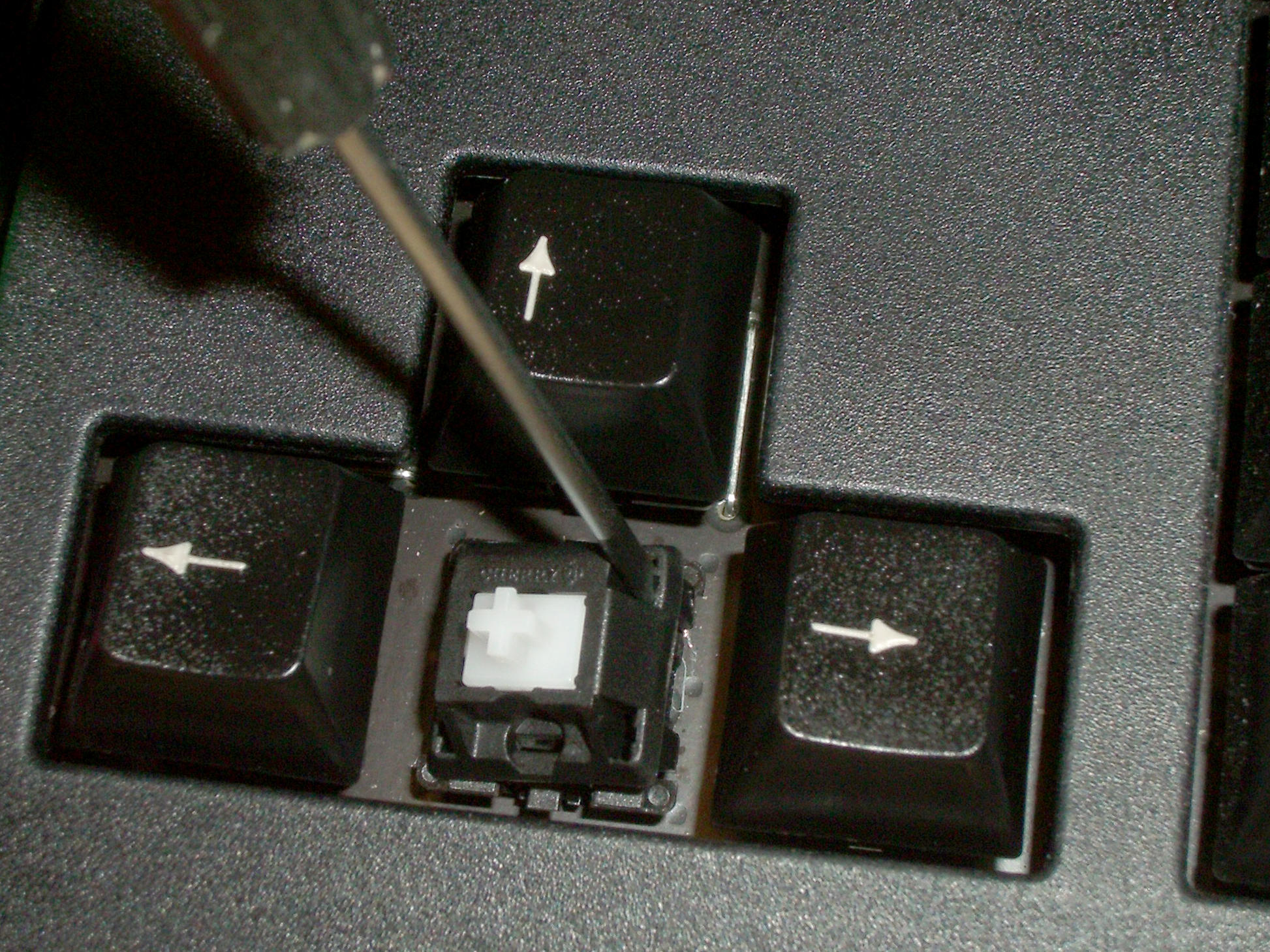 Mechanischer Tastenschalter mit weißem kreuzförmigem Stößel bei abgenommener Tastenkappe; Foto: Daniel beardsmore, Wikimedia Commons, Public Domain