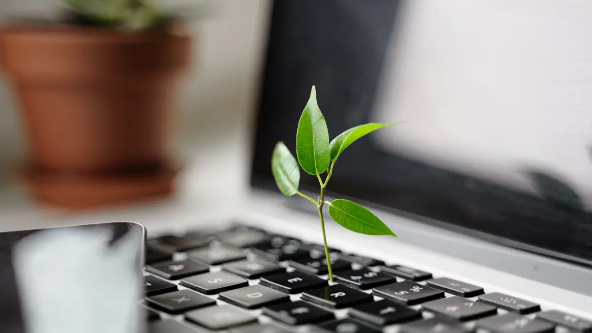 Eine Pflanze wächst aus einer Tastatur und steht für Nachhaltigkeit